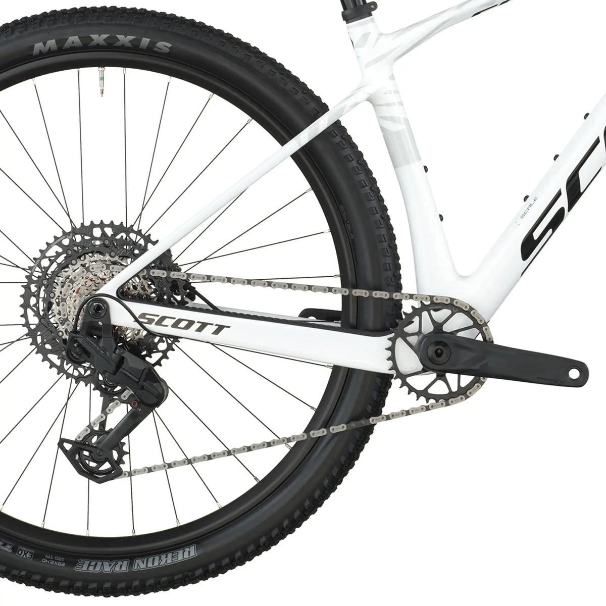 Scott Scale 910 2026 (Carbono)